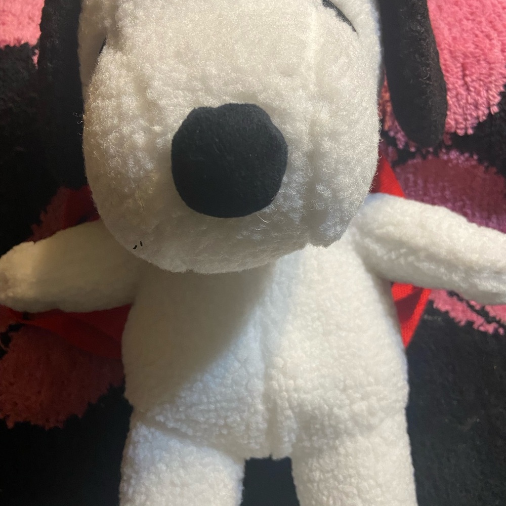 Plush snoopy💋💋💋 SOLD 💋💋💋💋, the peanut backpack, Black and White new